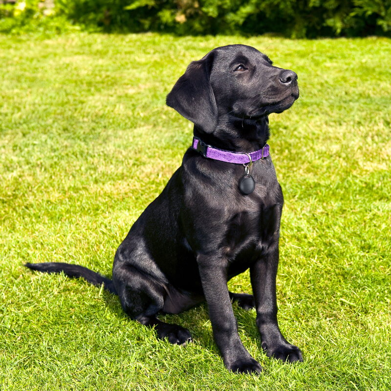 Lokalizator HoloTag z Apple Find My 1szt.